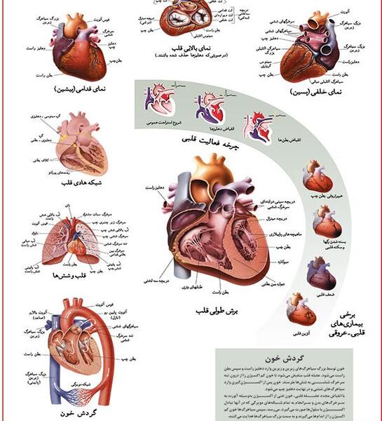 عکس قلب بزرگ توخالی