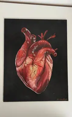 عکس قلب نقاشی انسان