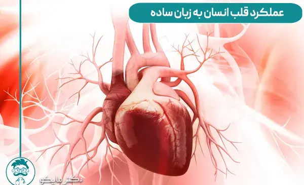 عکس قلب بدن ما