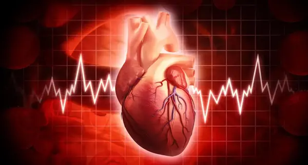 عکس قلب تو بدن
