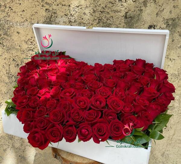 عکس قلب با گل رز قرمز
