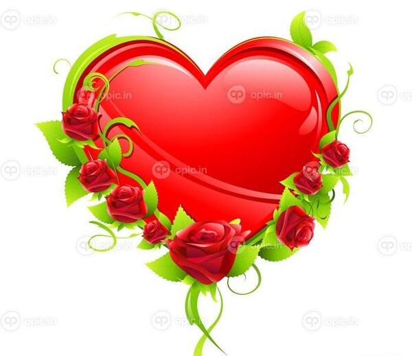 عکس قلب با گل رز قرمز