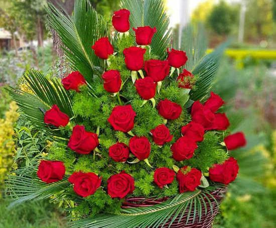 عکس قلب با گل رز قرمز