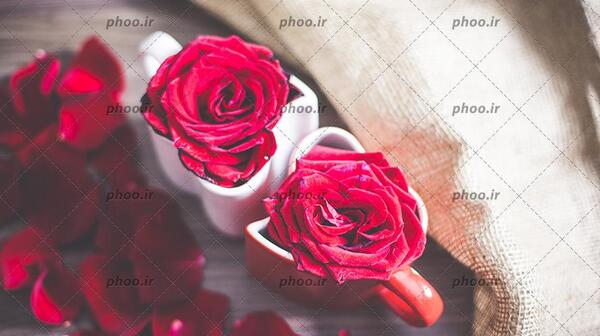 عکس قلب با گل رز قرمز