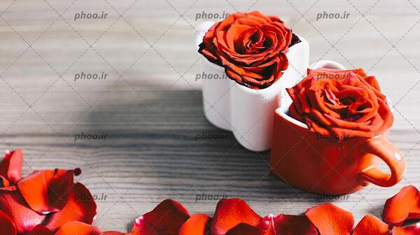 عکس قلب با گل رز قرمز