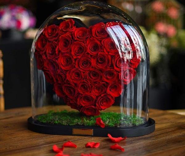 عکس قلب با گل محمدی