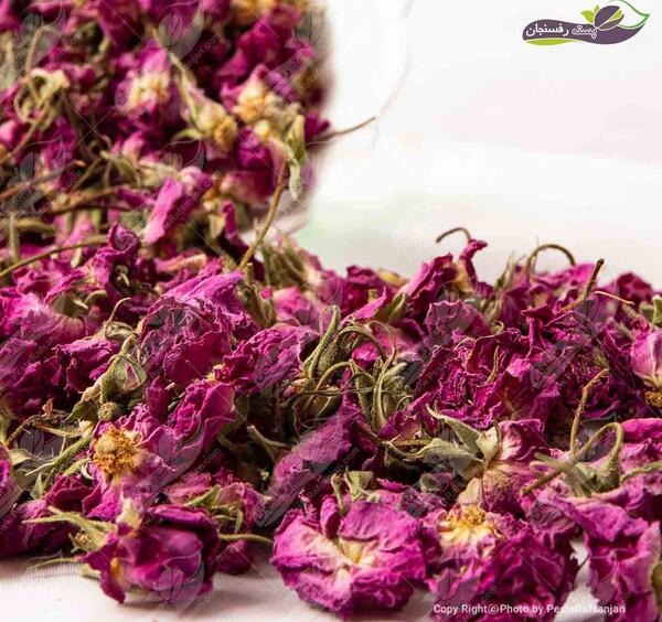 عکس قلب با گل محمدی