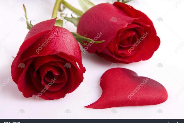 عکس قلب با گل زیبا
