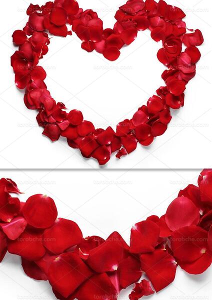 عکس قلب با گل زیبا