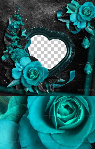 عکس قلب با گل زیبا