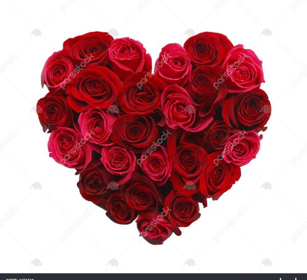عکس قلب با گل قرمز