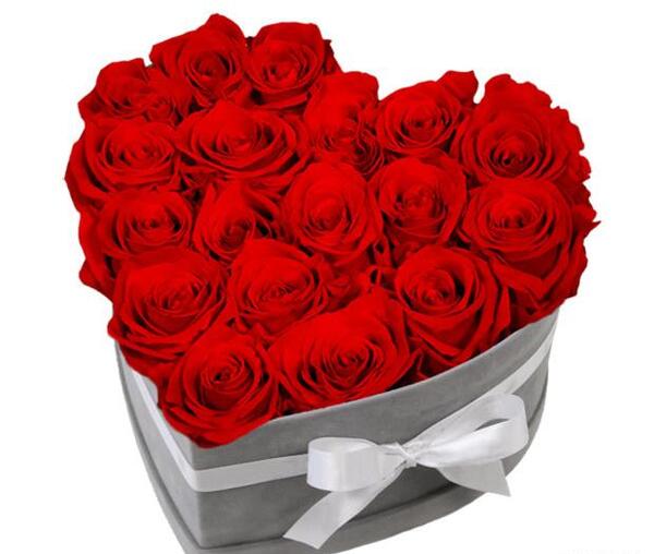 عکس قلب با گل قرمز