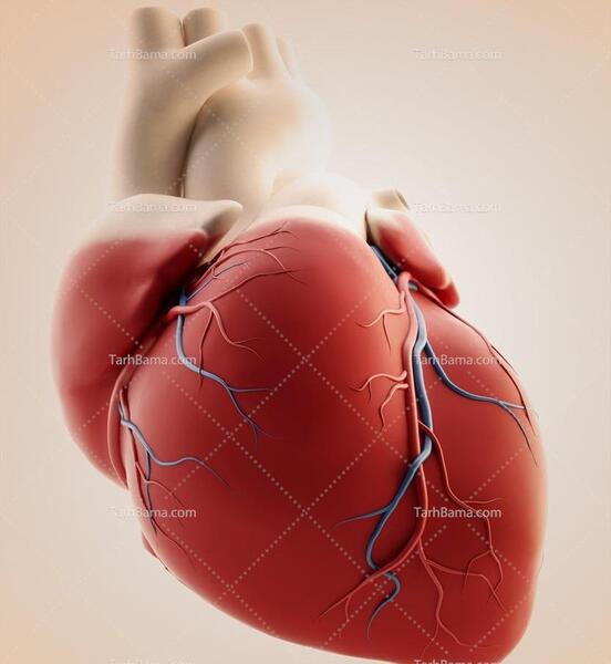 عکس قلب پس زمینه سفید