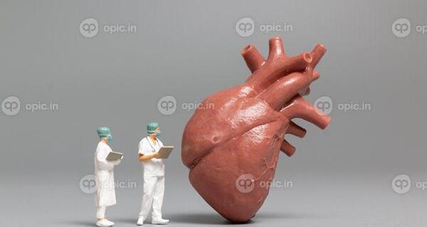 عکس پزشکی قلب انسان