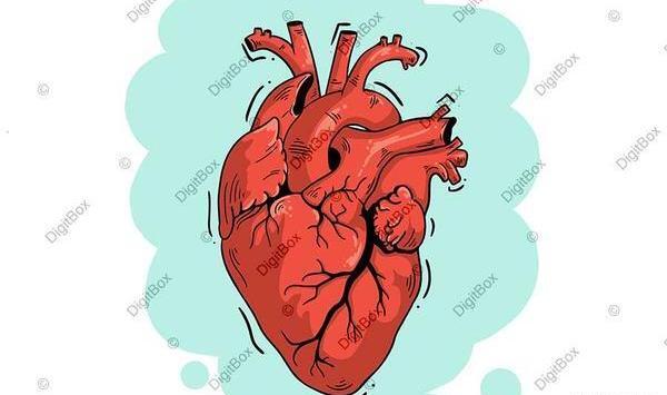 عکس قلب در پزشکی