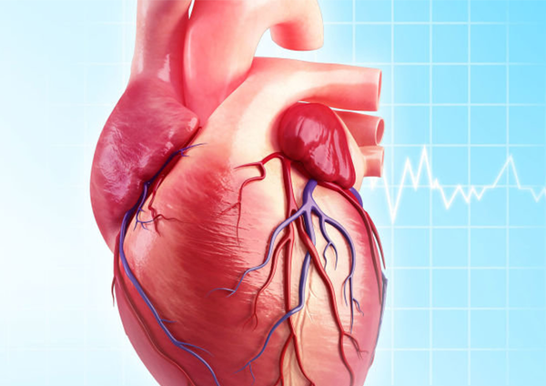 عکس قلب در پزشکی