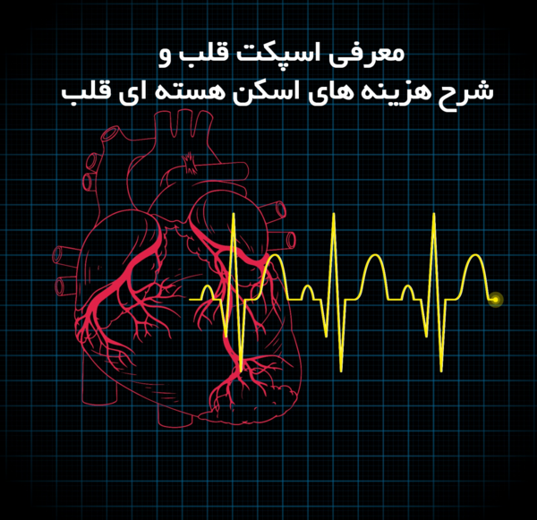 عکس از قلب پزشکی