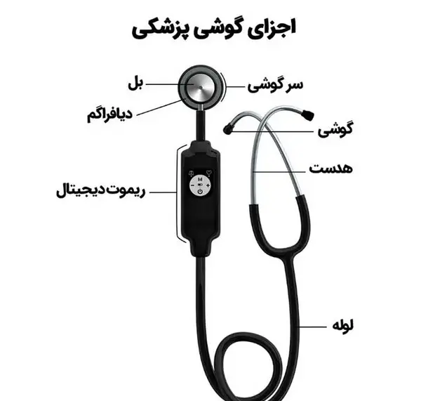 عکس از قلب پزشکی