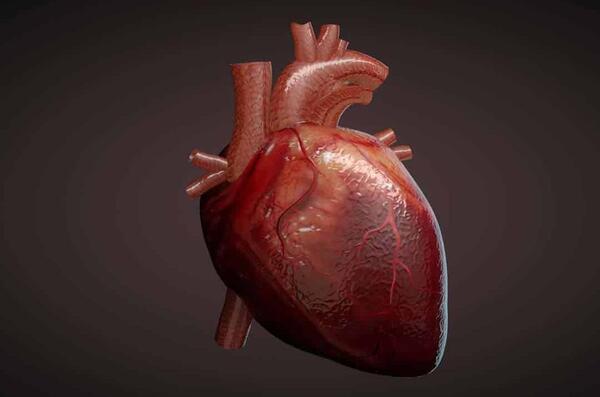 عکس های پزشکی قلب