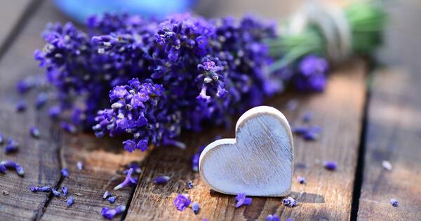 عکس قلب و گل برای تصویر زمینه