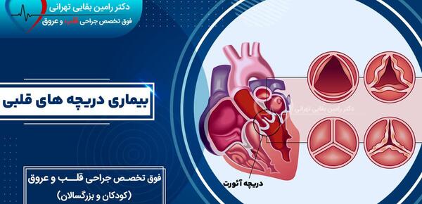 عکس برداری قلب چیست