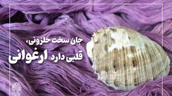 عکس قلب حلزون