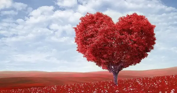 عکس قلب تو خالی برای ادیت