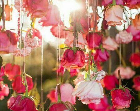 عکس خیلی قشنگ برای پروفایل واتساپ