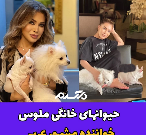 عکس قشنگ ترین سگ در جهان