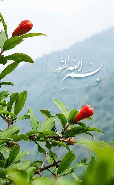 عکس قشنگ ترین گل های دنیا