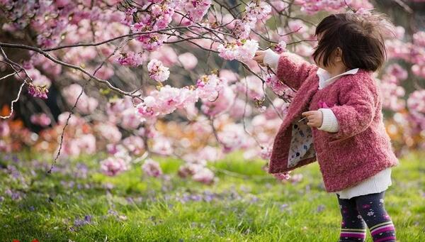 عکس قشنگ ترین گل های دنیا