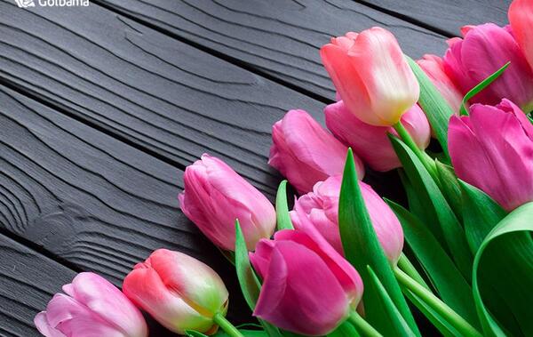 عکس قشنگ ترین گل در جهان