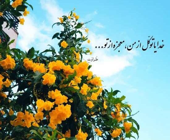 عکس پروفایل خیلی قشنگ جدید