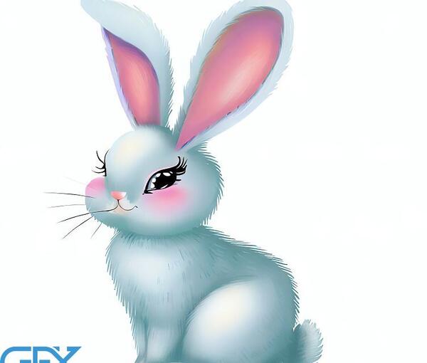 عکس های قشنگ خرگوش