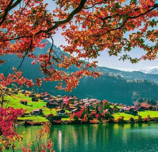 عکس طبیعی قشنگ