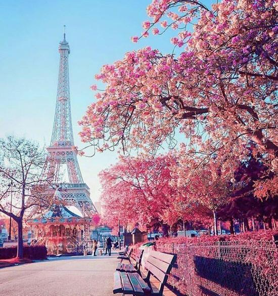 عکس طبیعی قشنگ