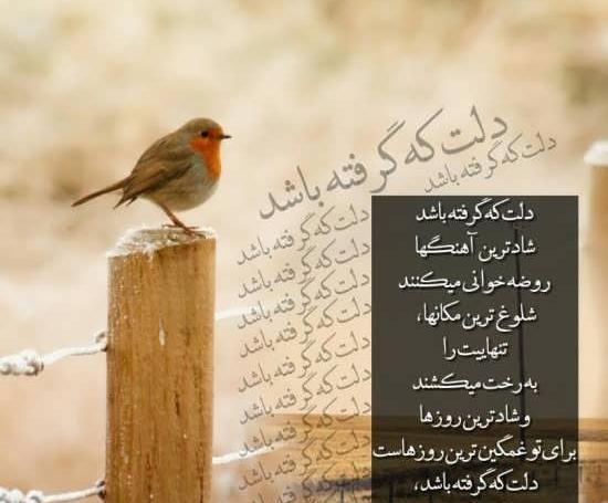 عکس نوشته خدایا دلم از بنده هات گرفته