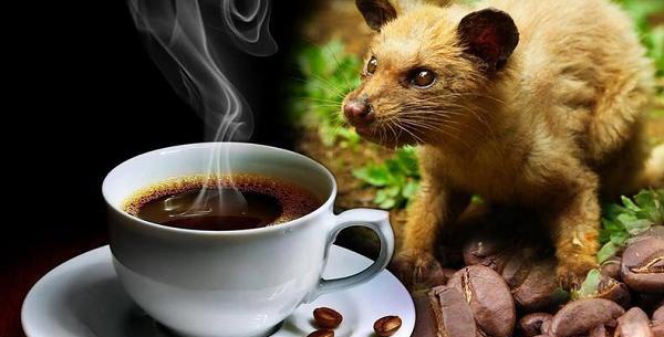عکس قهوه موجود است