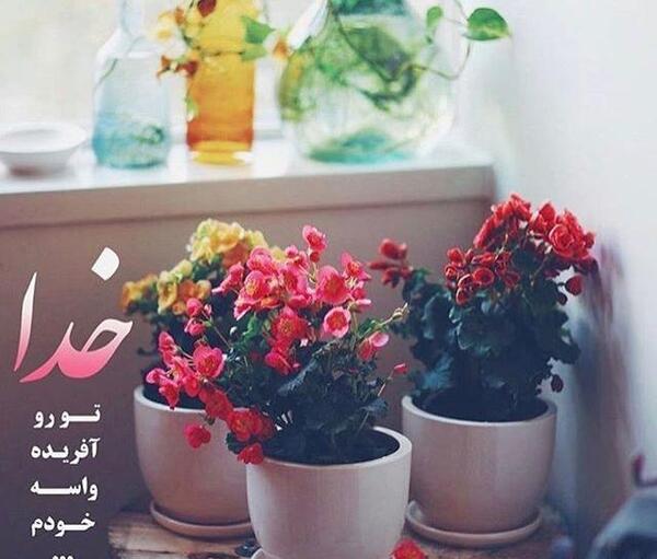عکس متن خدایا چرا من