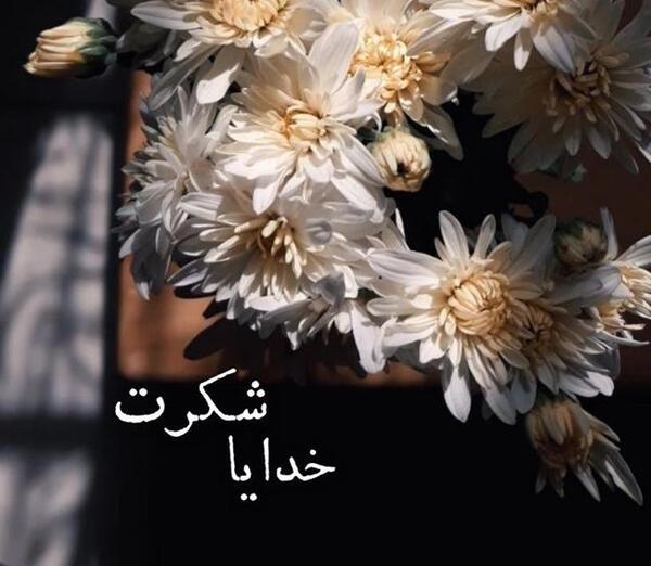 دانلود عکس خدایا شکرت بابت همه چیز