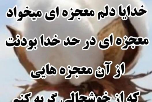 عکس نوشته خدایا من از تو معجزه میخواهم