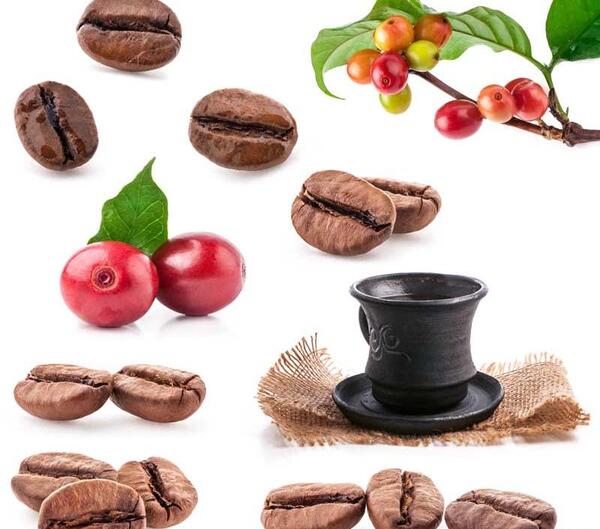 عکس میوه قهوه ای