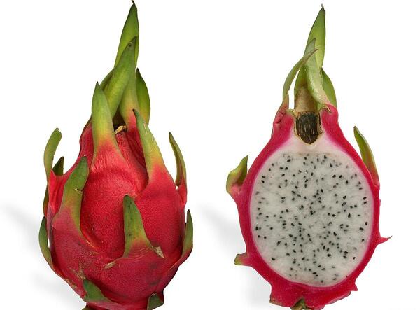 عکس میوه قهوه ای