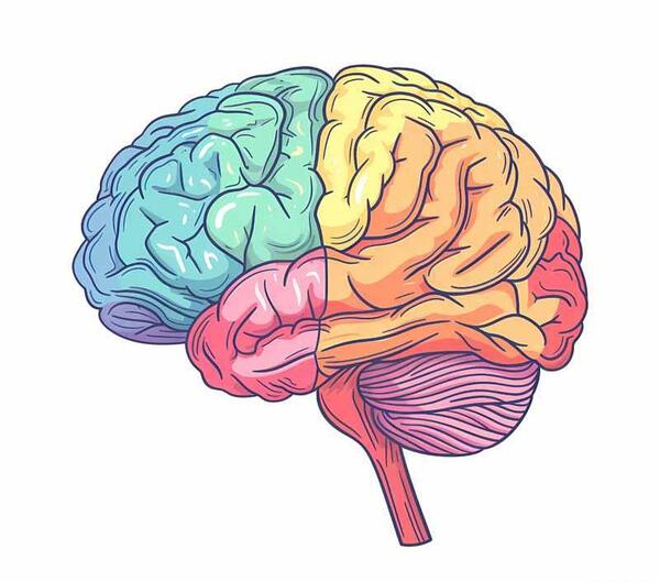 عکس کارتونی مغز انسان