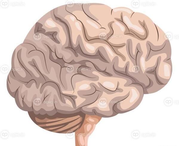 عکس کارتونی مغز انسان