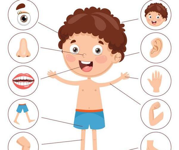 عکس کارتونی بدن انسان