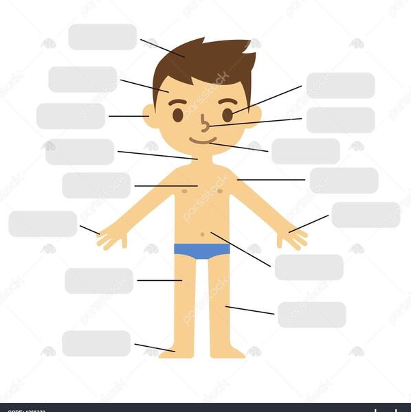 عکس کارتونی بدن انسان