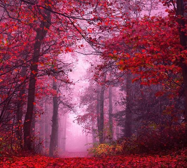 عکس منظره طبیعی با کیفیت بالا