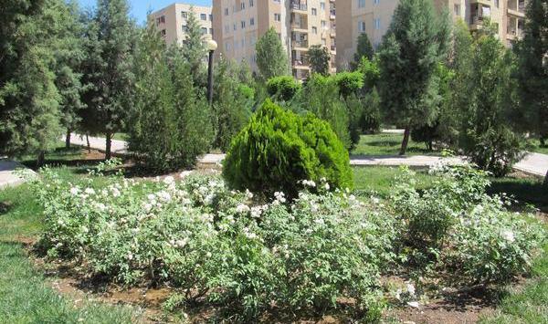 عکس منظره طبیعی ساده