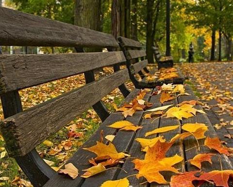 عکس پروفایل منظره پاییزی